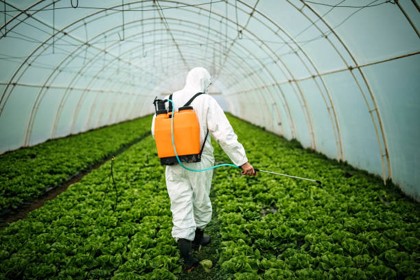 Best Pest Prevention Services  in Southside, AL