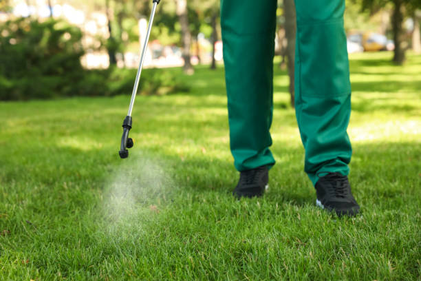 Best Affordable Pest Control Services  in Southside, AL