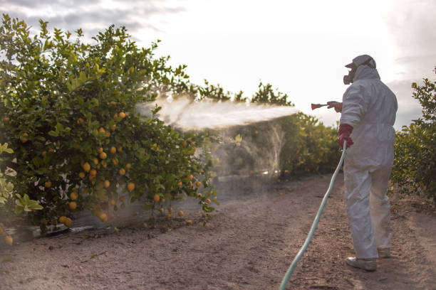Best Pest Control Treatment  in Southside, AL