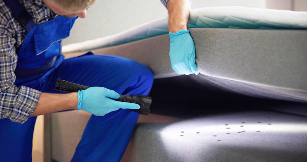 Best Bed Bug Extermination  in Southside, AL