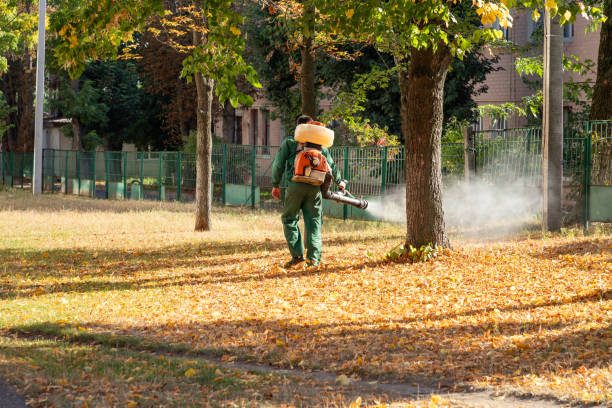 Best Mosquito Control Services  in Southside, AL