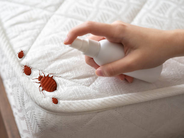 Best Best Pest Control Companies  in Southside, AL