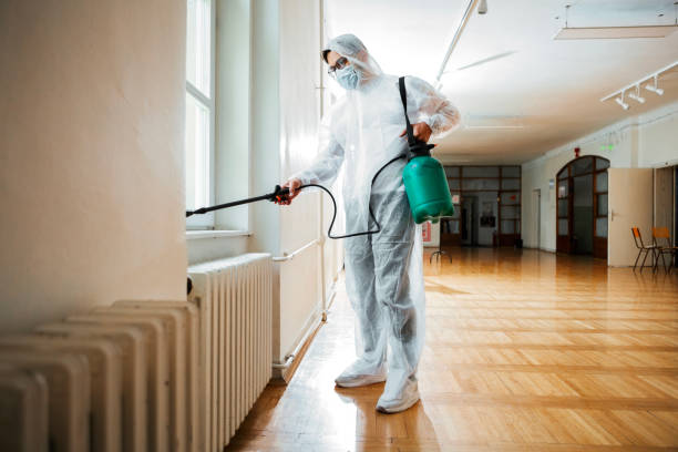 Flea Control Services in Southside, AL