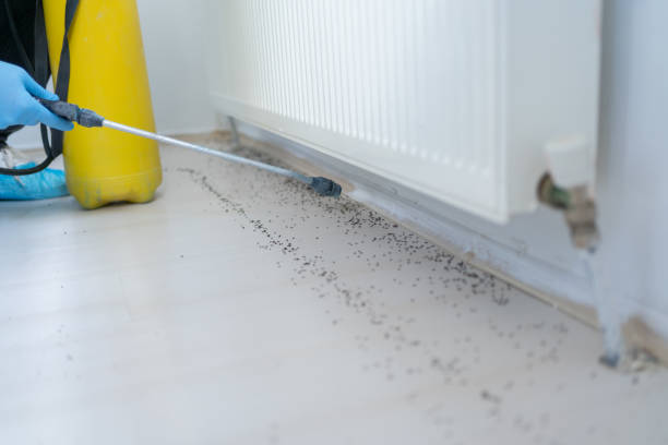 Pest Control Cost in Southside, AL