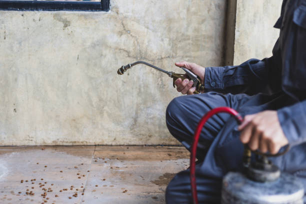 Best Exterminator Services  in Southside, AL